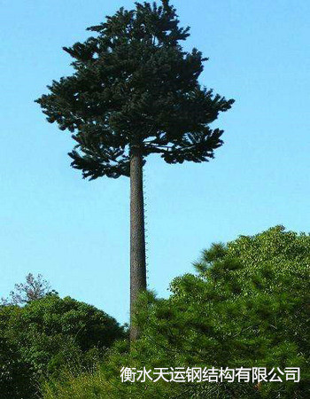 广西仿生树塔厂家